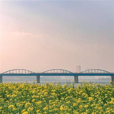 这个地下城有点怪手游下载