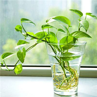 苍穹幻境满v版手游下载
